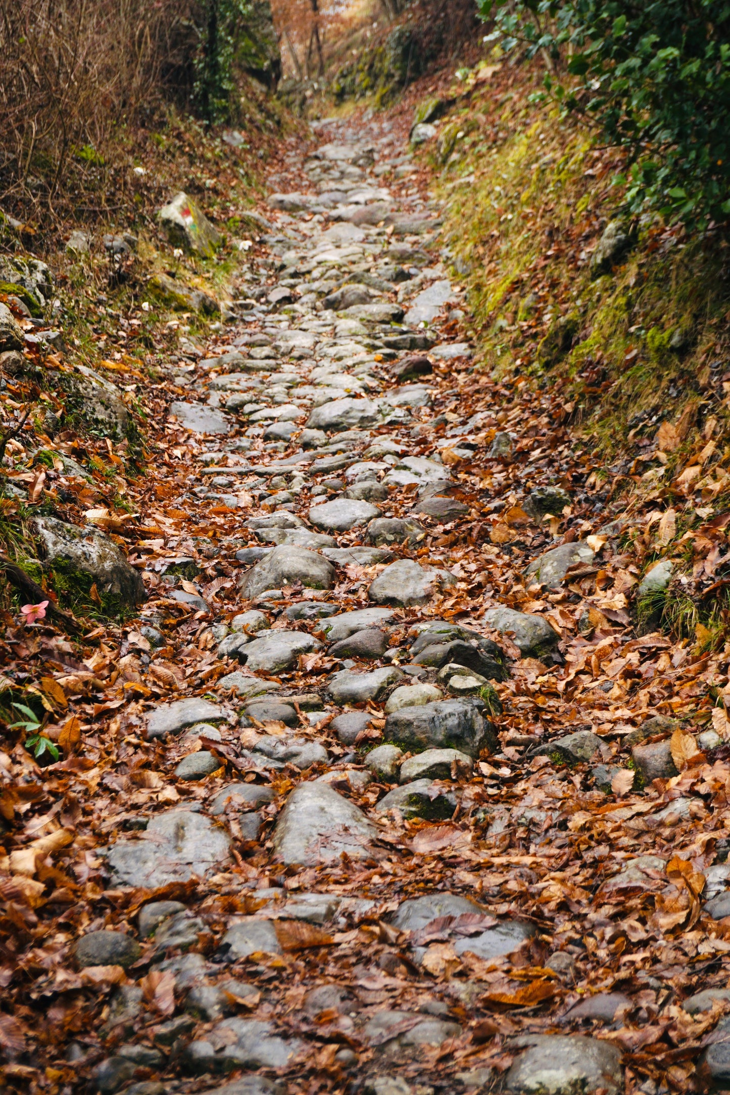 La Valeriana, la Strada Forgiata nella Storia.