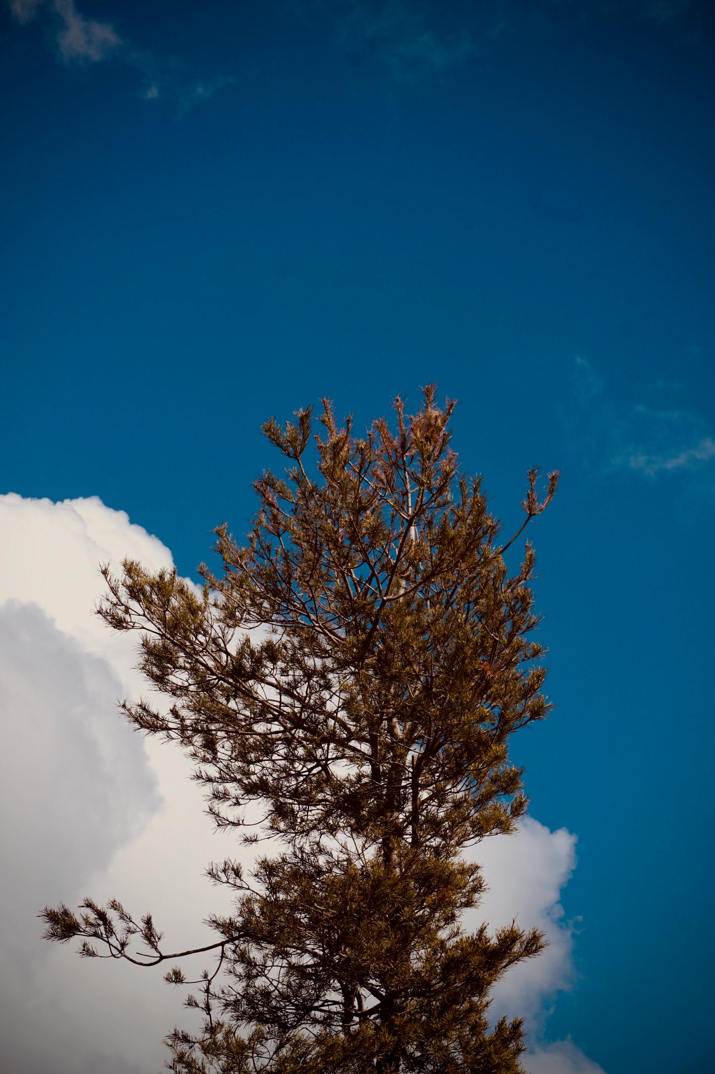 Trentapassi Horn, Sentinel of Rock and Sky