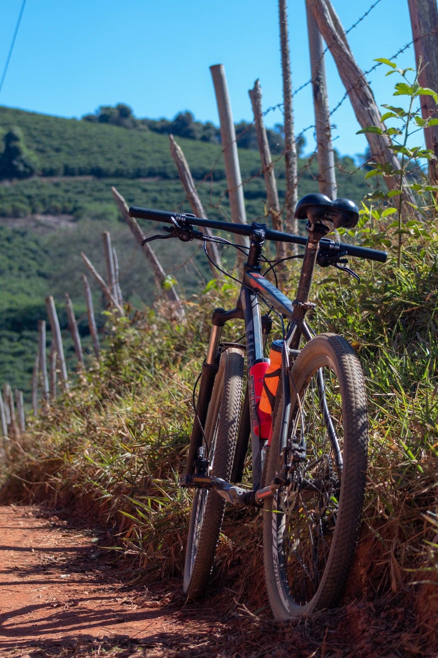 Franciacorta Vineyard Stroll
