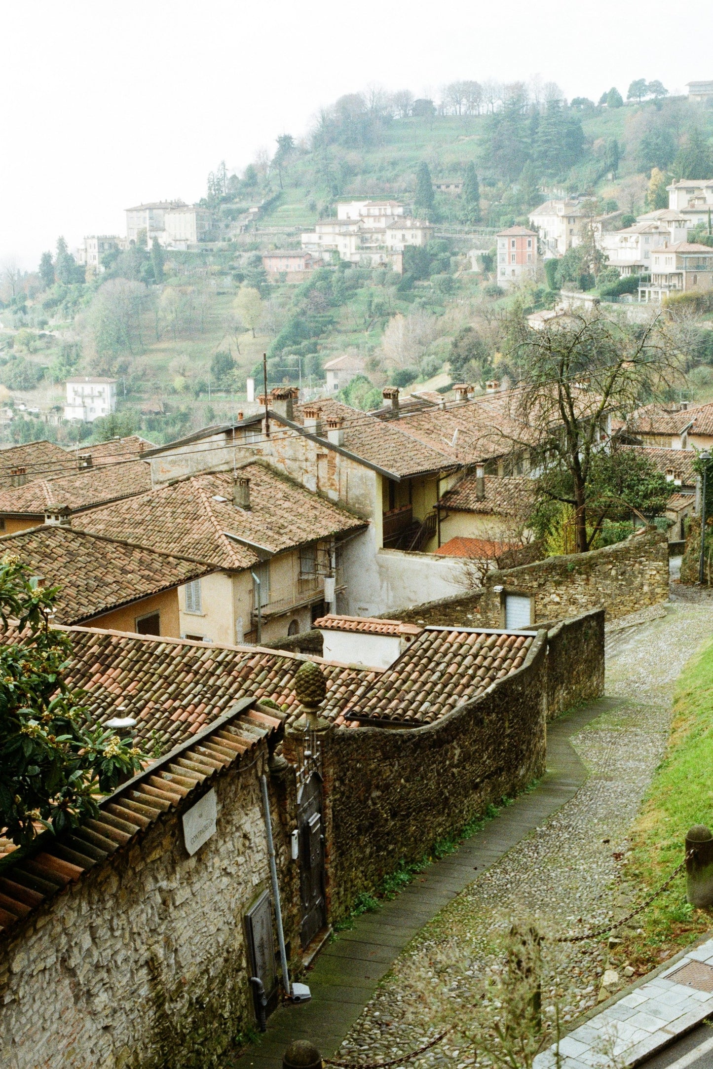 Franciacorta Vineyard Stroll