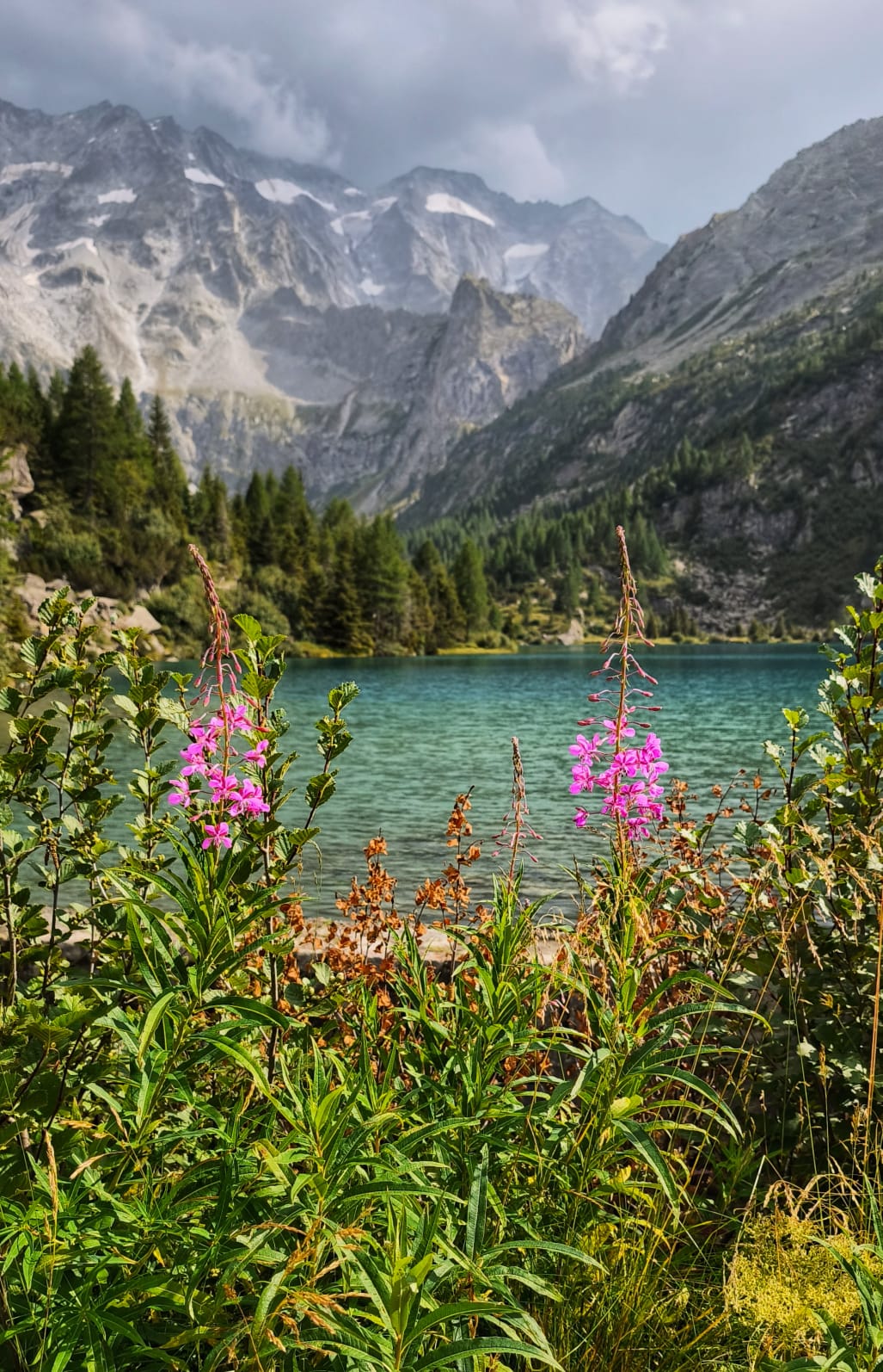 Rock, Iron and Ice: 5 Days Traverse of The Adamello Massif.