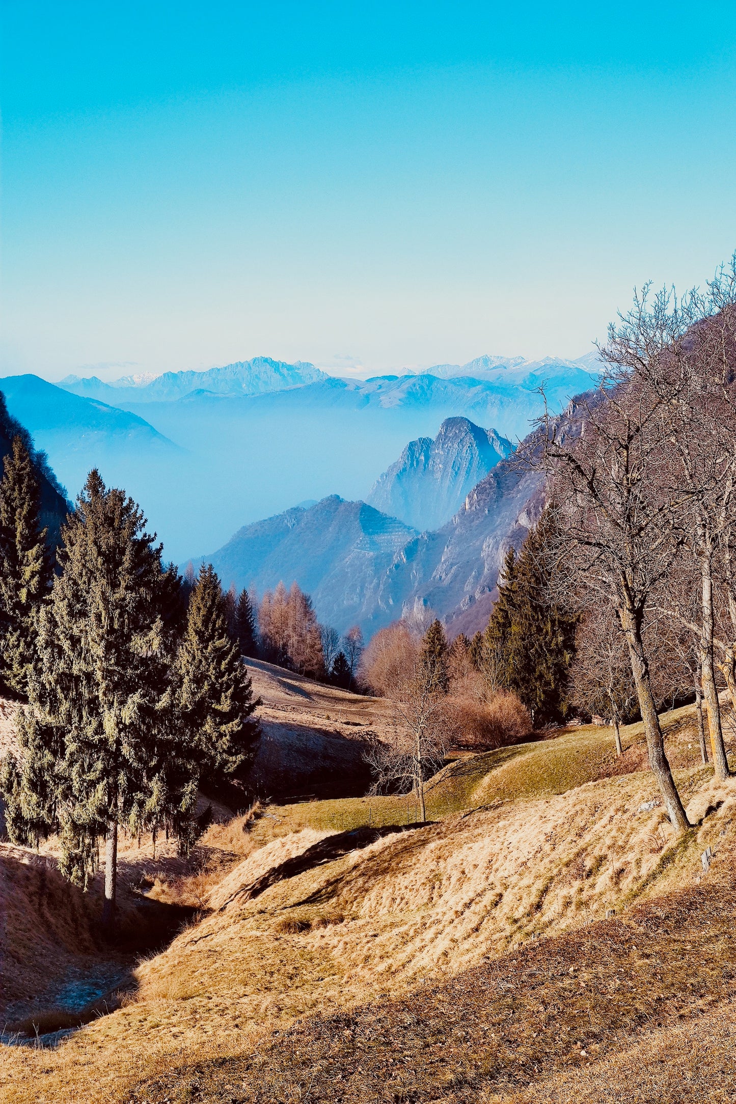 Monte Guglielmo, ll Re del Lago.