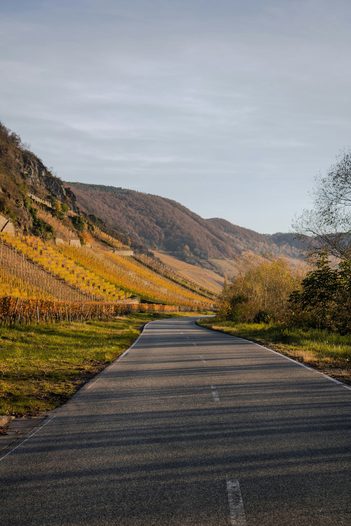 Pedala & Stappa: Franciacorta