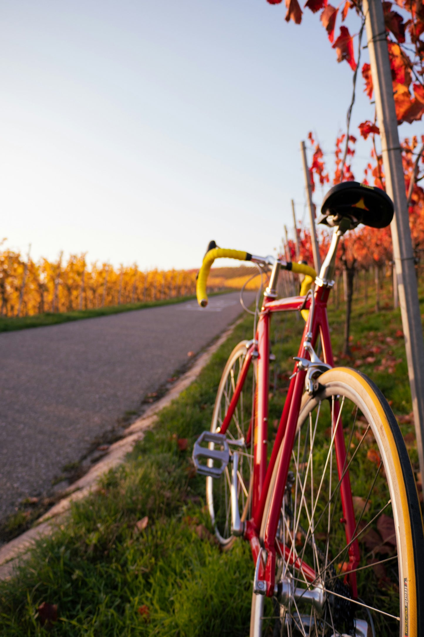 Pedala & Stappa: Franciacorta
