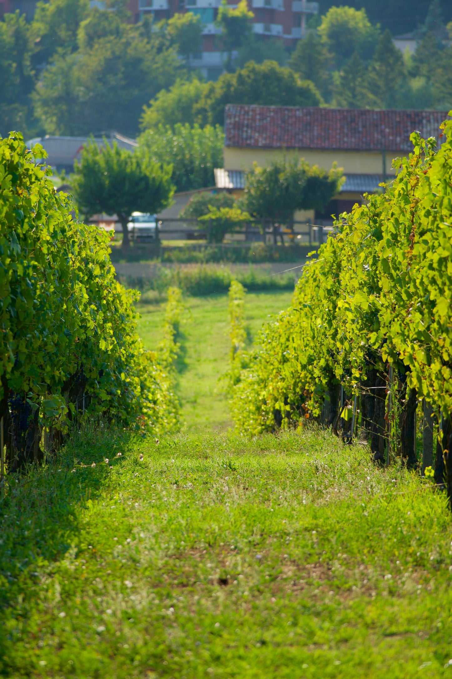 L'Indomabile Gravel Tour della Franciacorta